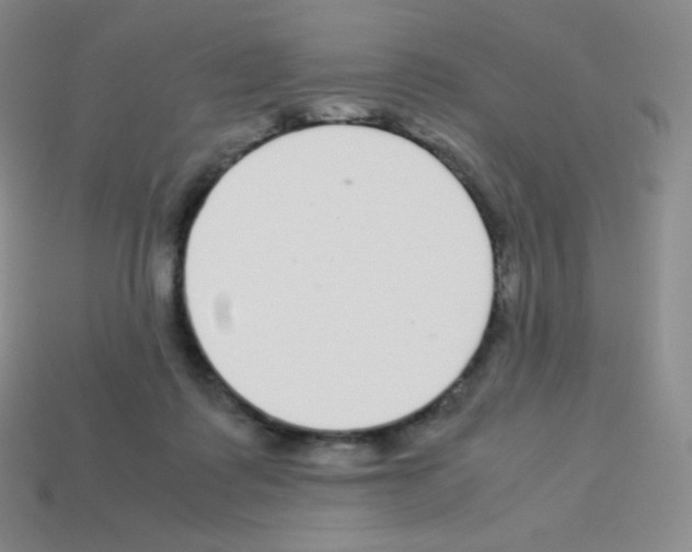 X0000113040315200910081216