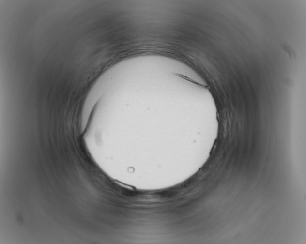 X0000113040316200910081216