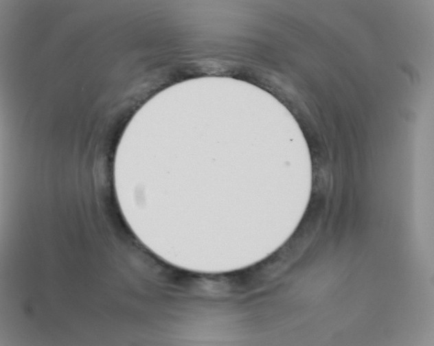 X0000113040317200910081216