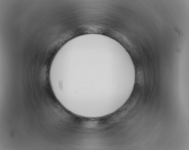 X0000113040318200910081216