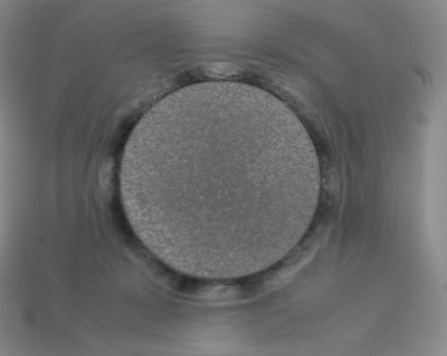 X0000113040319200910081216