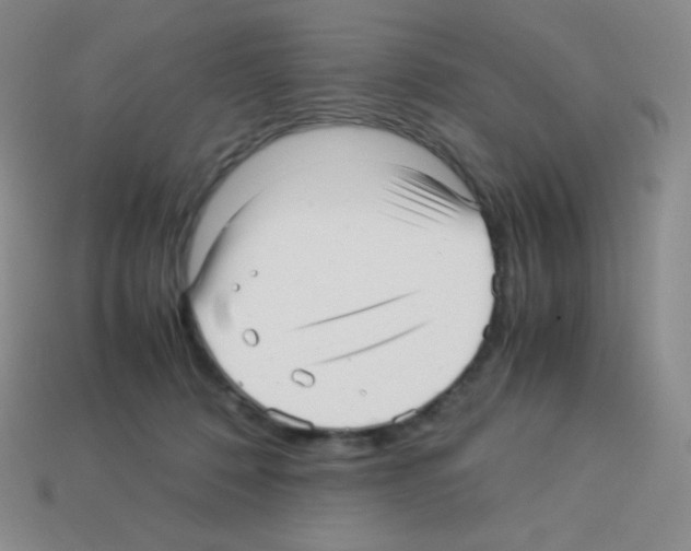 X0000113040320200910081216