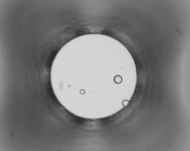 X0000113040321200910081216