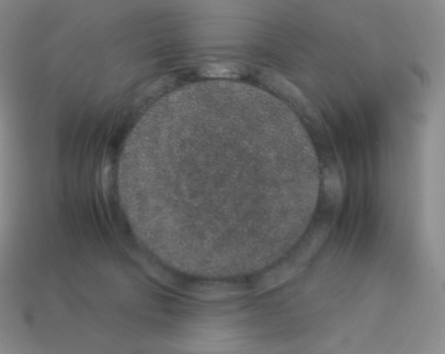 X0000113040322200910081216