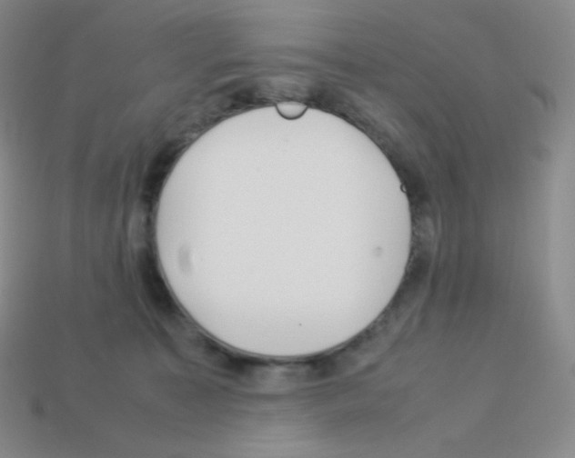 X0000113040323200910081216
