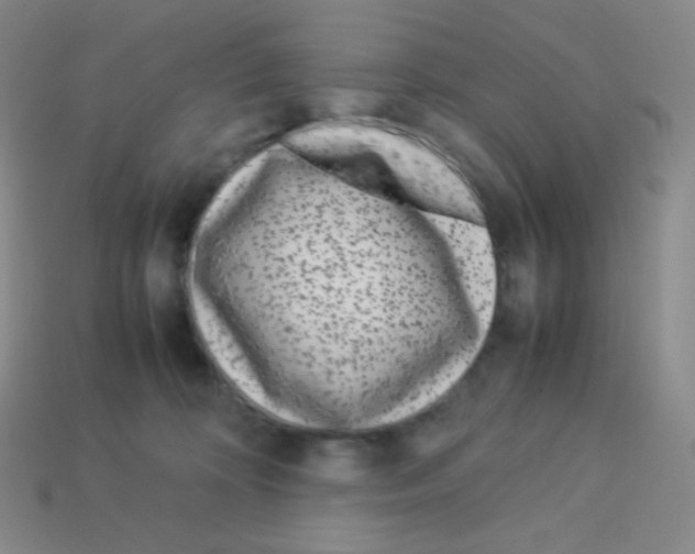 X0000113040324200910081216