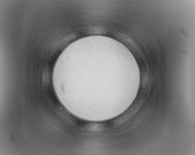 X0000113040326200910081216