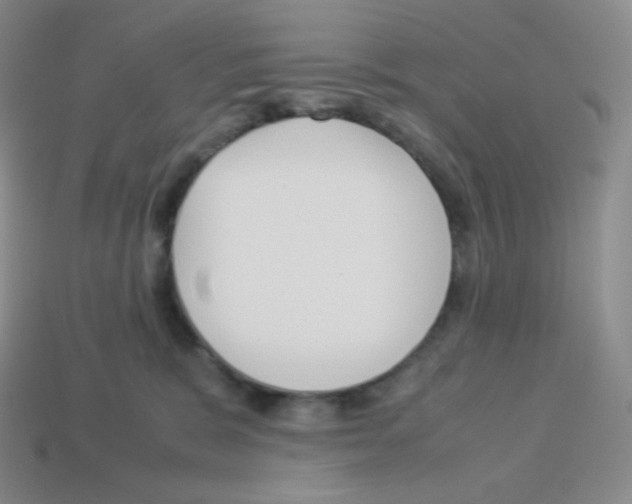 X0000113040327200910081216
