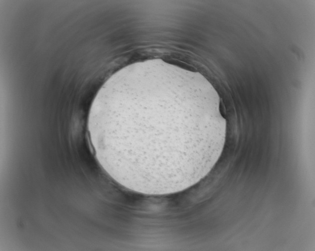 X0000113040328200910081216