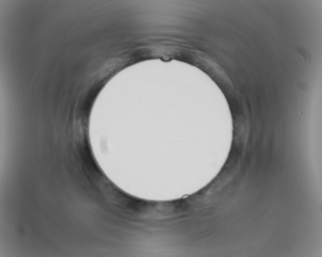 X0000113040329200910081216