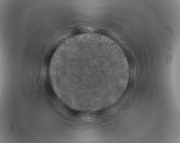 X0000113040331200910081216
