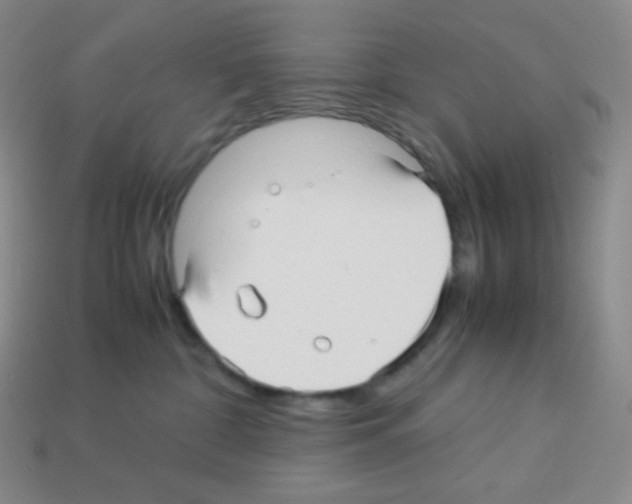 X0000113040332200910081216