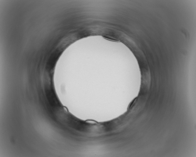 X0000113040333200910081216