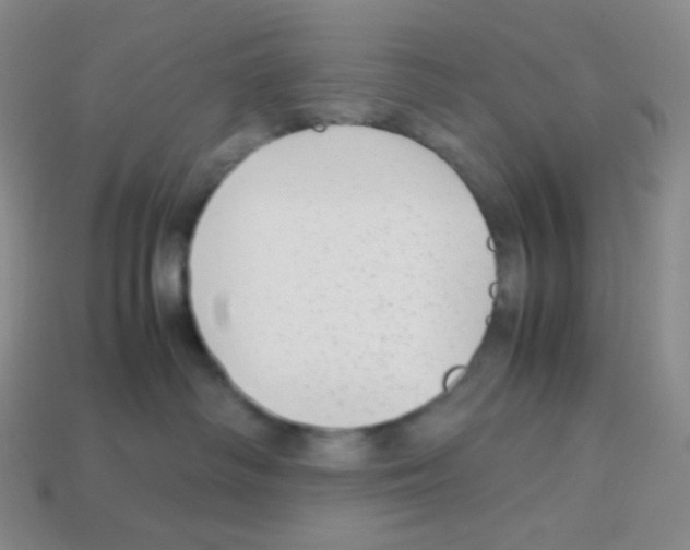 X0000113040334200910081216