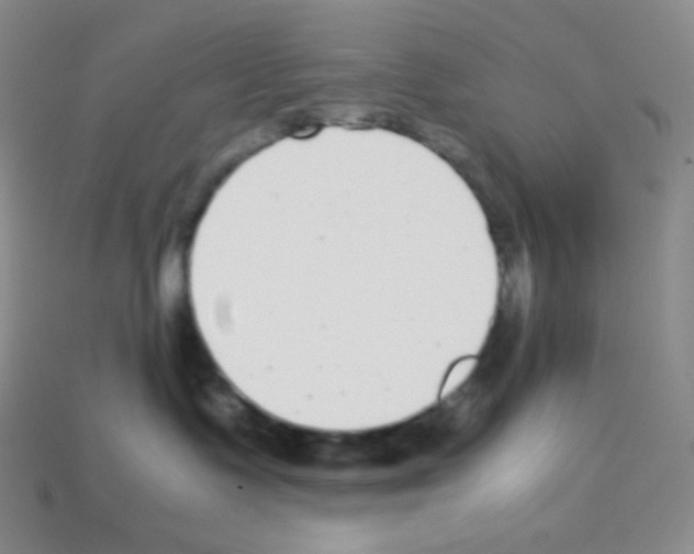 X0000113040335200910081216