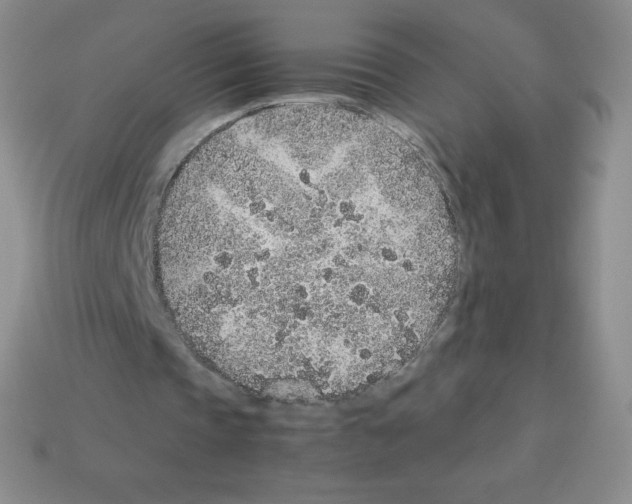 X0000113040337200910081215
