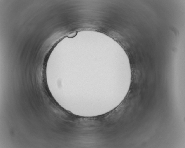 X0000113040338200910081215