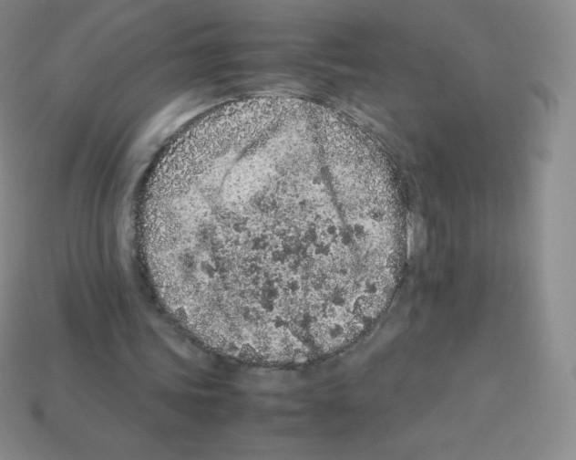X0000113040339200910081215