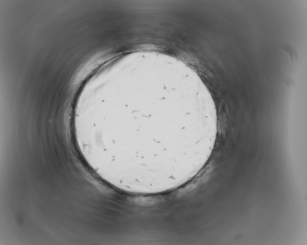 X0000113040341200910081215