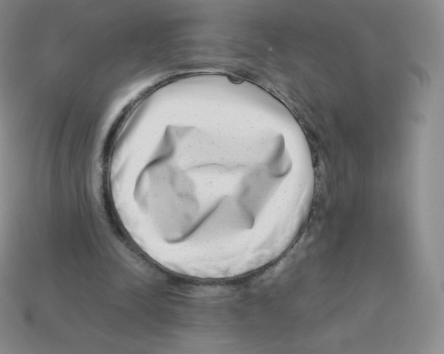 X0000113040342200910081215