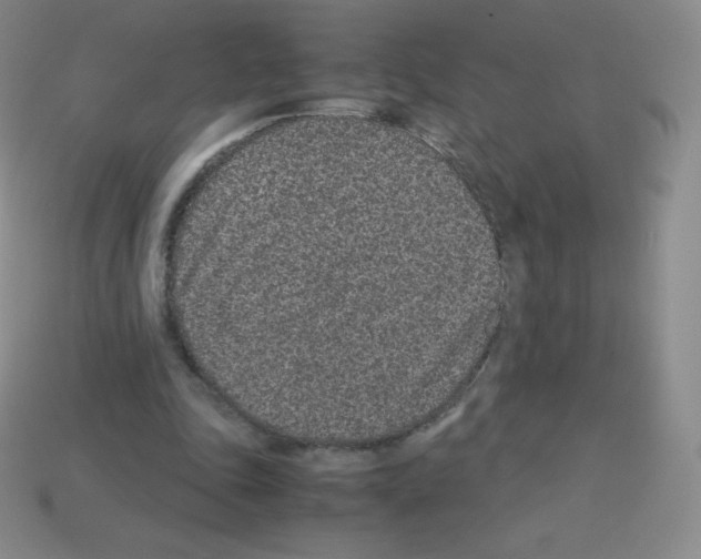 X0000113040343200910081215