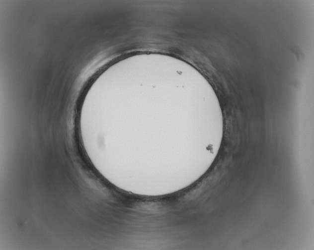 X0000113040344200910081215
