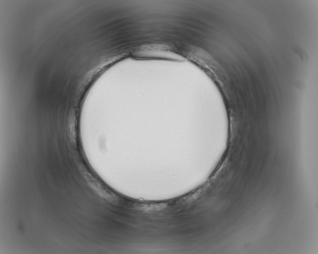 X0000113040345200910081215