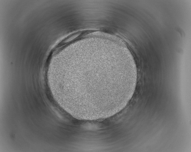 X0000113040346200910081215