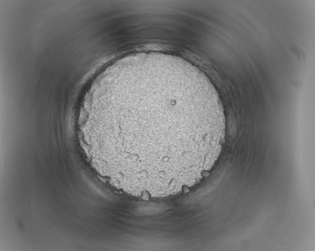 X0000113040347200910081215