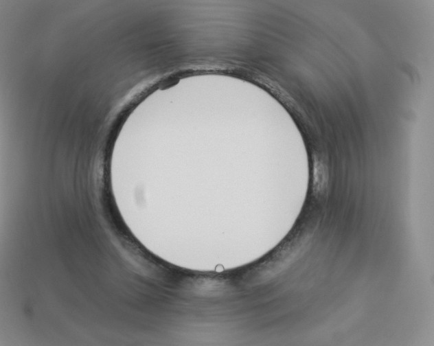 X0000113040348200910081215