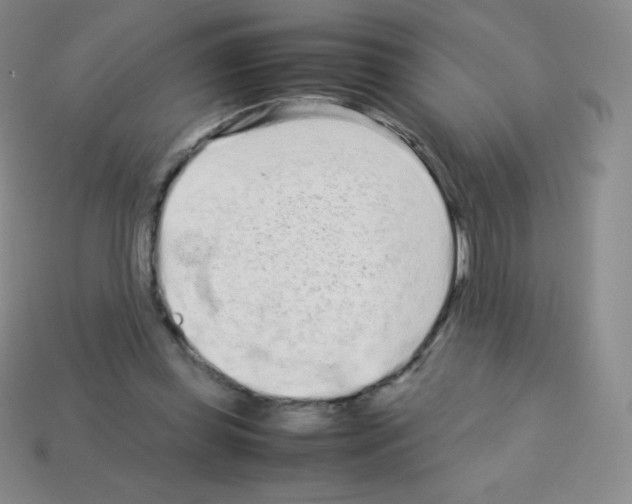 X0000113040349200910081215