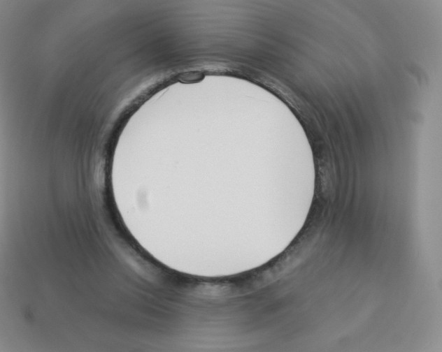 X0000113040350200910081215