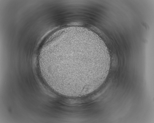 X0000113040351200910081215