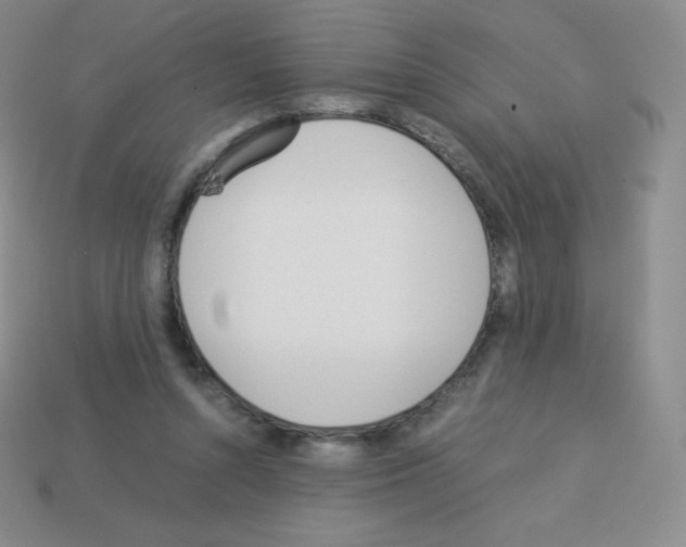 X0000113040352200910081215