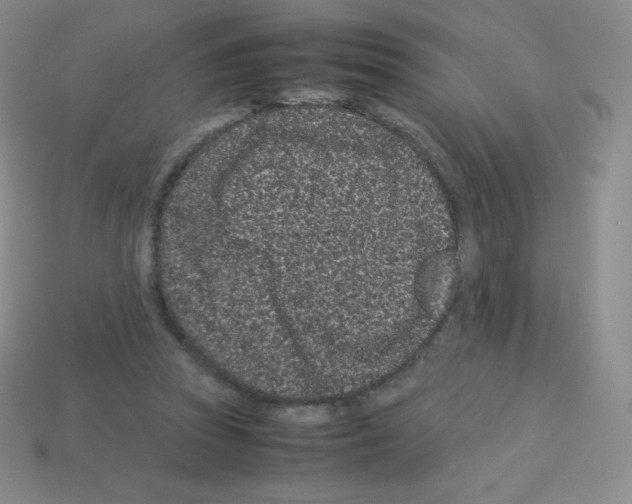 X0000113040353200910081215