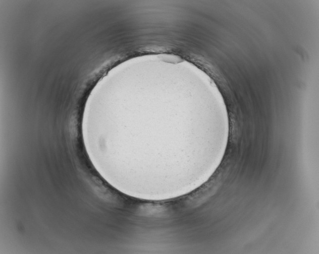 X0000113040354200910081215