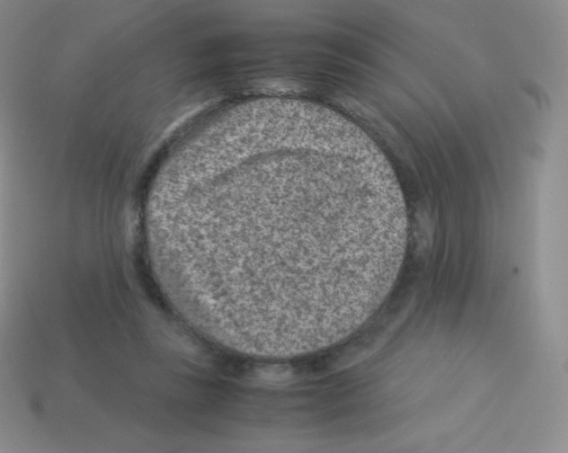 X0000113040355200910081215