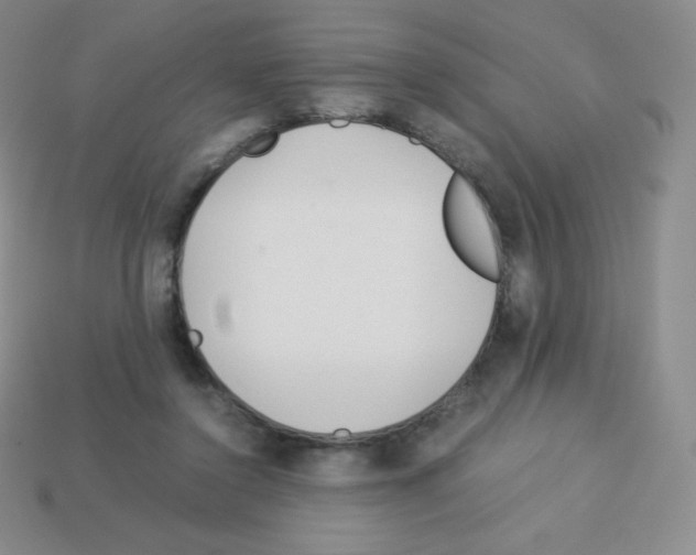 X0000113040356200910081215