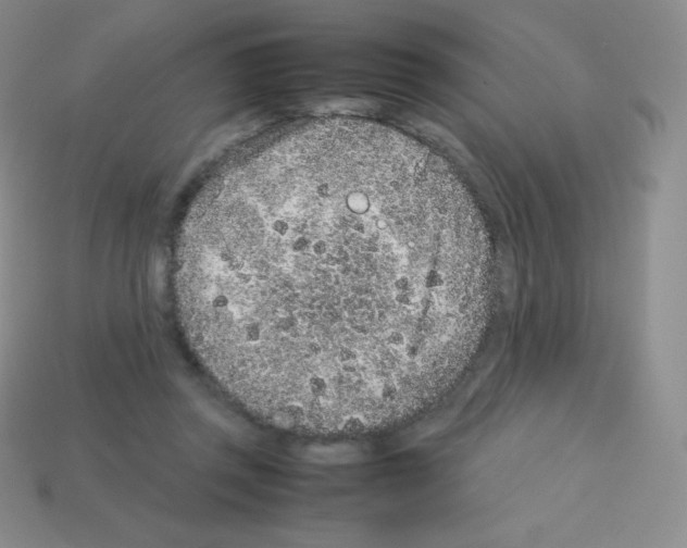 X0000113040357200910081215