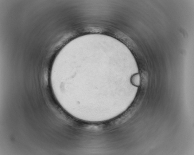 X0000113040358200910081216