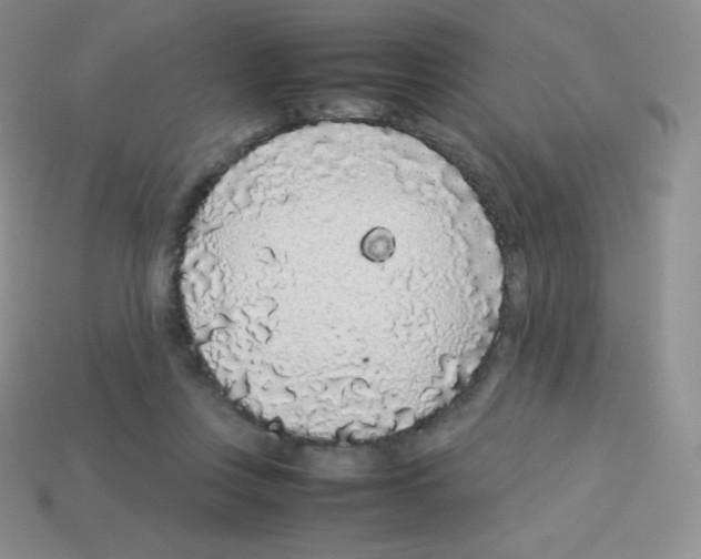X0000113040359200910081216