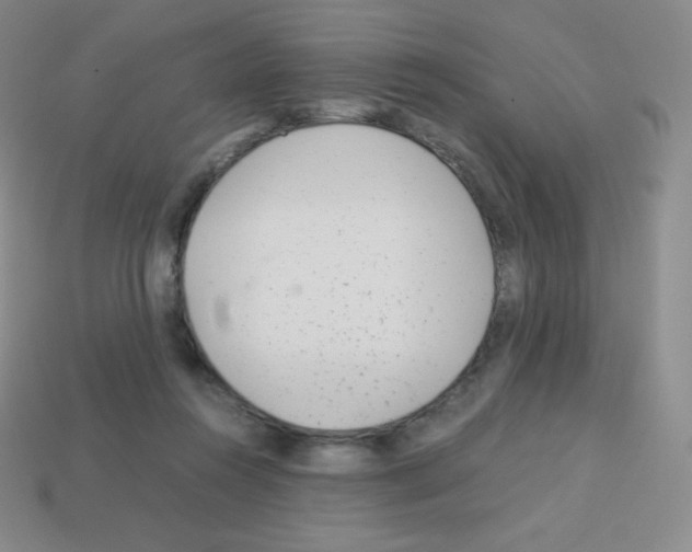 X0000113040360200910081216