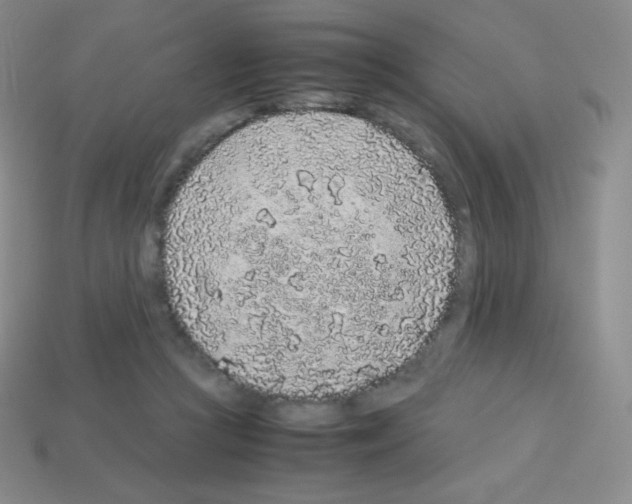 X0000113040361200910081216