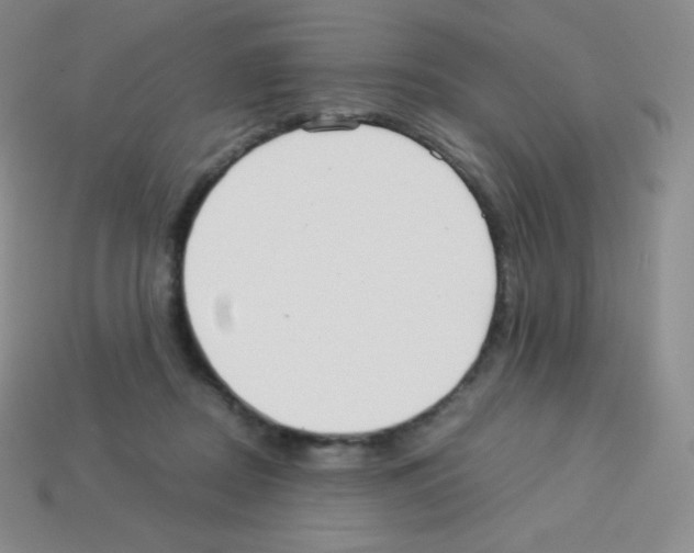 X0000113040362200910081216