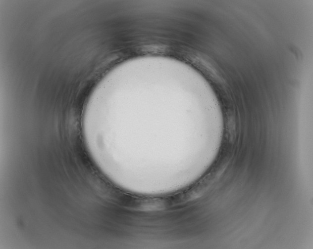 X0000113040363200910081216