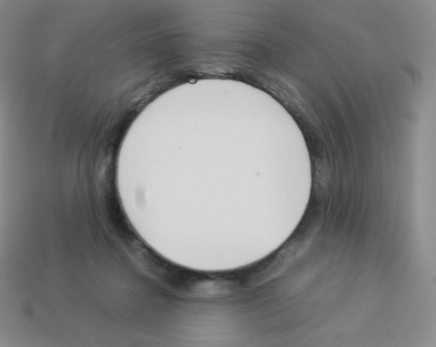 X0000113040364200910081216