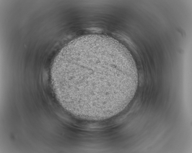 X0000113040365200910081216