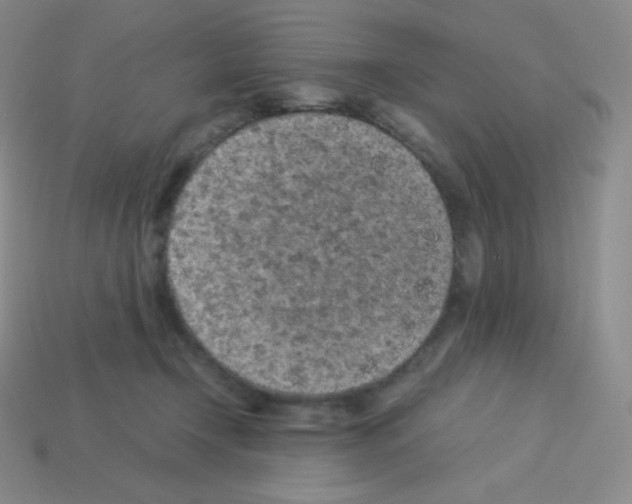 X0000113040366200910081216