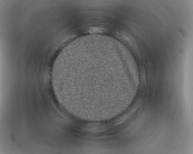 X0000113040367200910081216