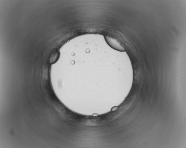 X0000113040368200910081216